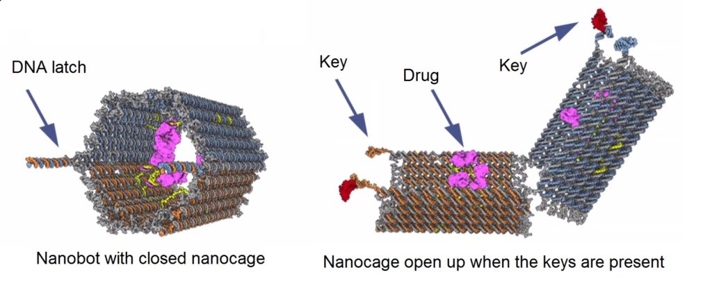 nanobots in drugs