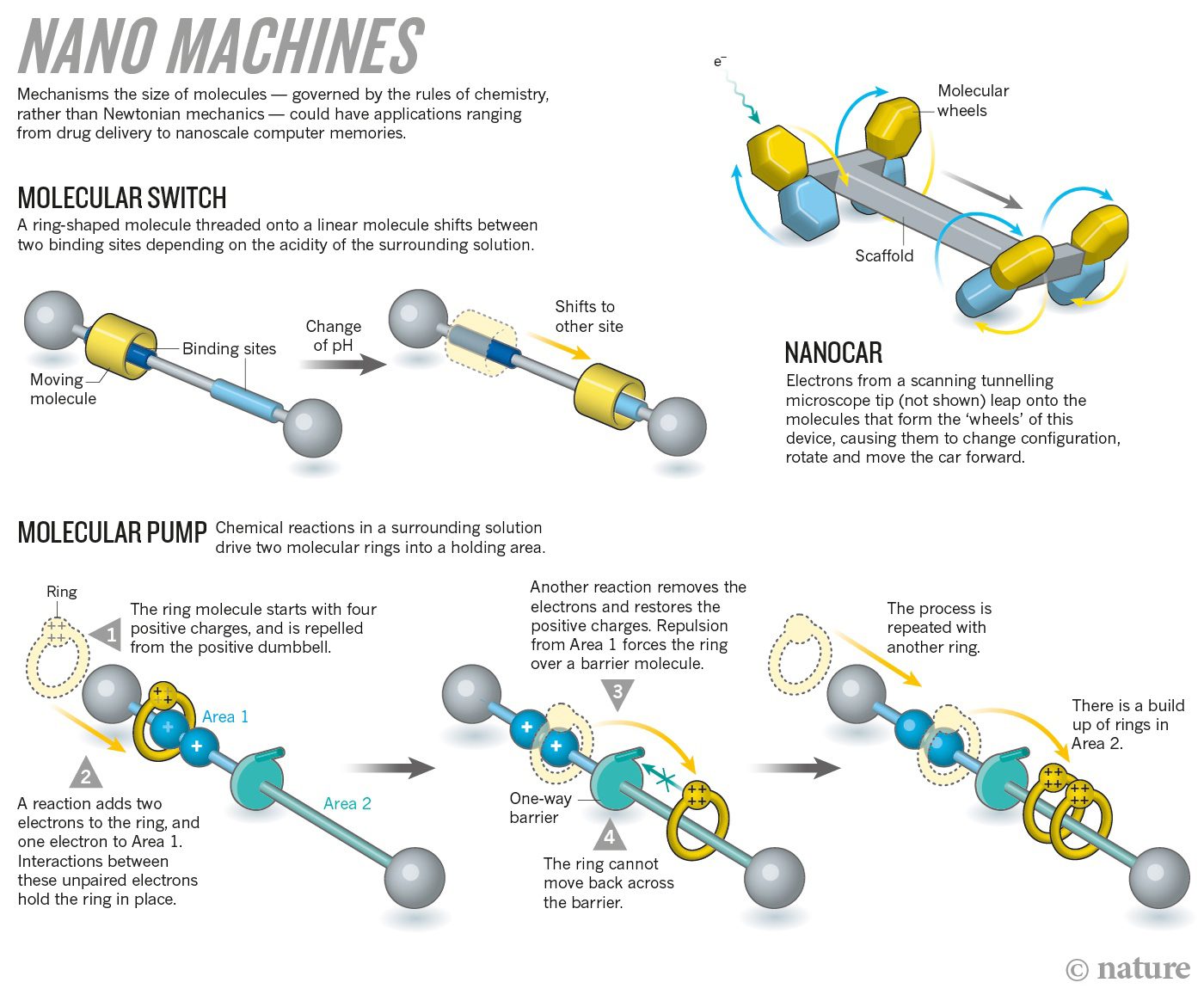 yaabot_molecular1