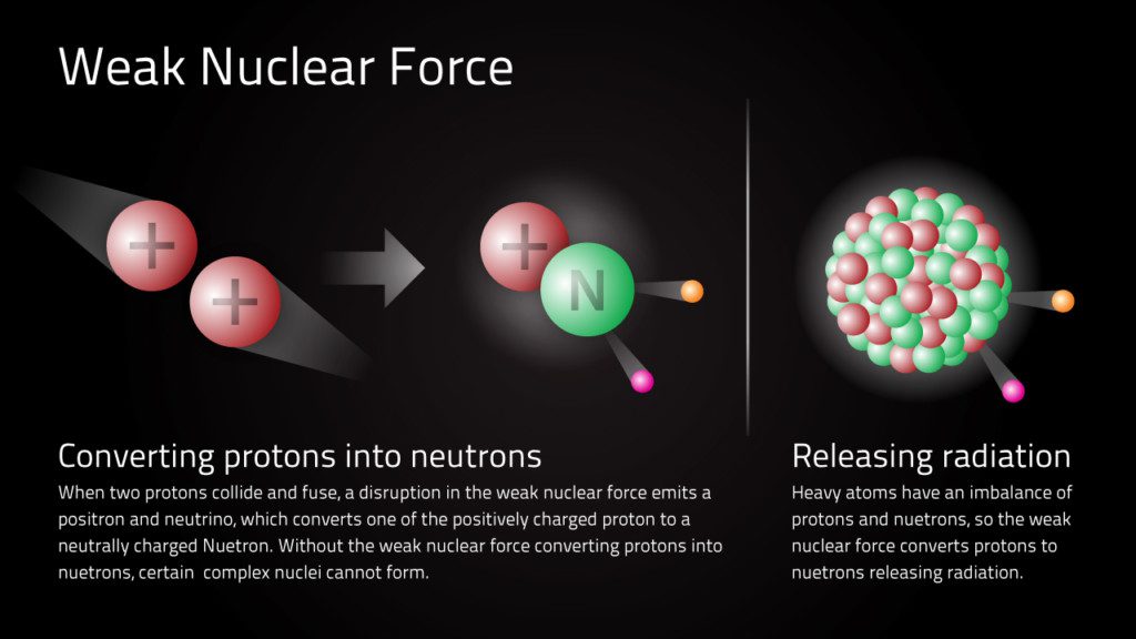 A diagram explaining the weak nuclear force and how it converts protons into neutrons and releases radiation : fifth force of nature

