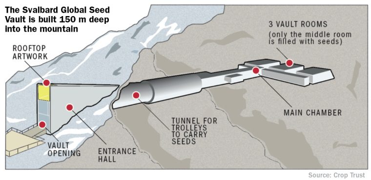 doomsday vault