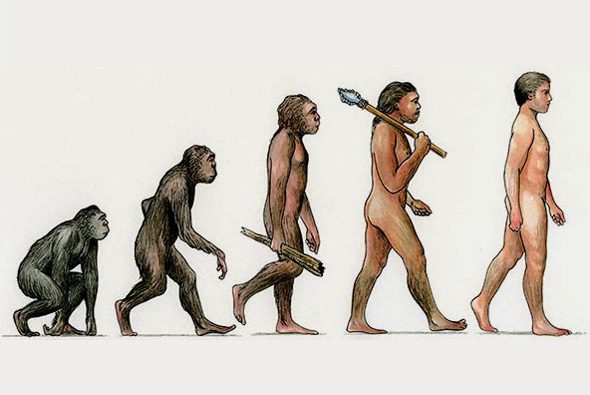 Evolution of humans from apes that led to evolution of social dynamics and, subtly, human morality.