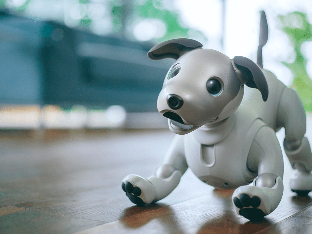 Sony’s iconic AI-powered robotic hound can bark, wag its tail, chase pink balls and learn new tricks like giving its owner a high five.