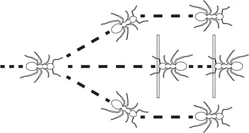 Swarm intelligence algorithms or systems can outperform many centralized models when diversity and adaptability are needed