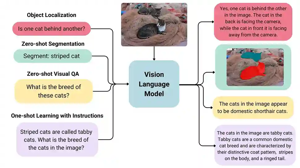 A diagram showcasing VLM’s visual language understanding capabilities.