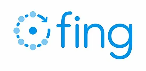 Fing